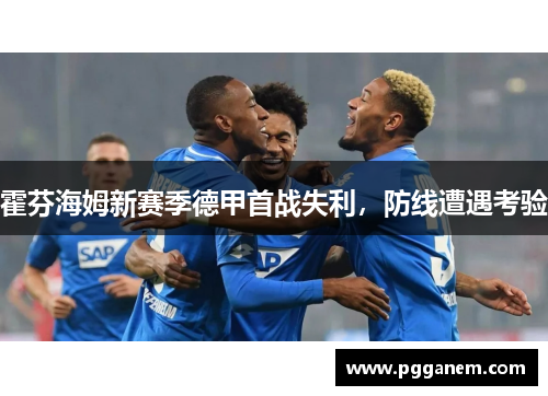 霍芬海姆新赛季德甲首战失利，防线遭遇考验